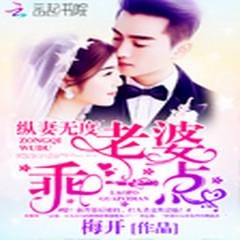 纵妻无度：老婆，乖一点！有声小说