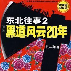 东北往事2-黑道风云20年有声小说