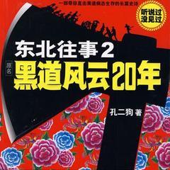 东北往事2-黑道风云20年有声小说
