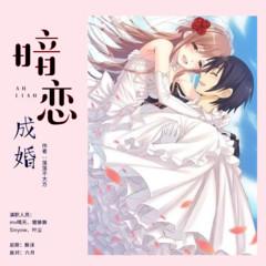 暗恋成婚有声小说