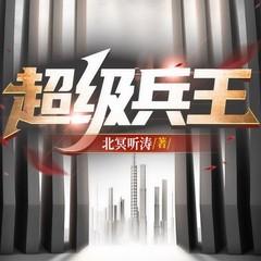 冷艳总裁的超级狂兵有声小说