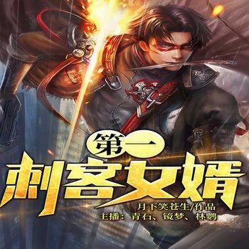 第一刺客女婿(多人剧)有声小说